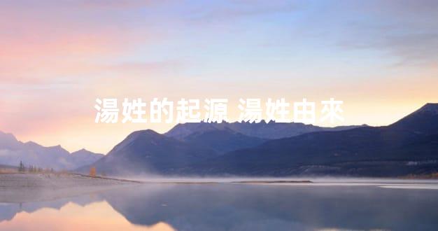 湯姓的起源 湯姓由來